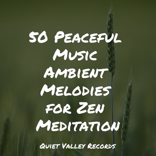 50 Peaceful Music Ambient Melodies for Zen Meditation