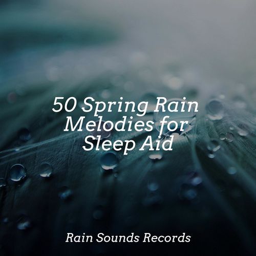 50 Spring Rain Melodies for Sleep Aid