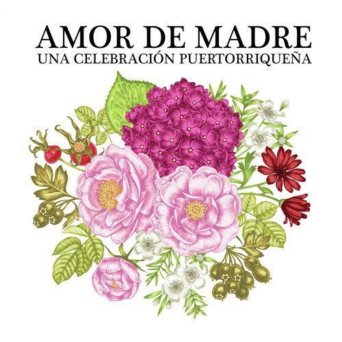 Amor de Madre: Una Celebración Puertorriqueña_poster_image