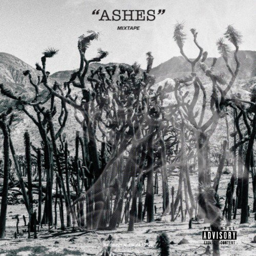 Ashes (feat. Remy Vega, Alby Alrite & Toka)