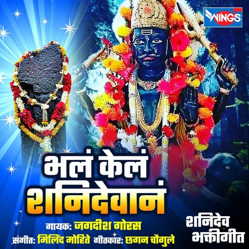 Yatra Bharliya Shanidevachi