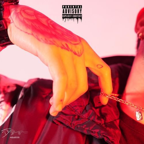VICKY (Radio Edit) cover art