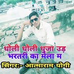 Dholi Dholi Dhuja Ud Bhartari Ka Mela M