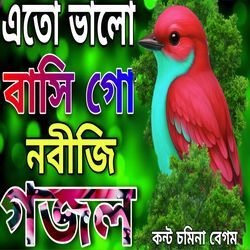 Eto Balo Basi Go noviji