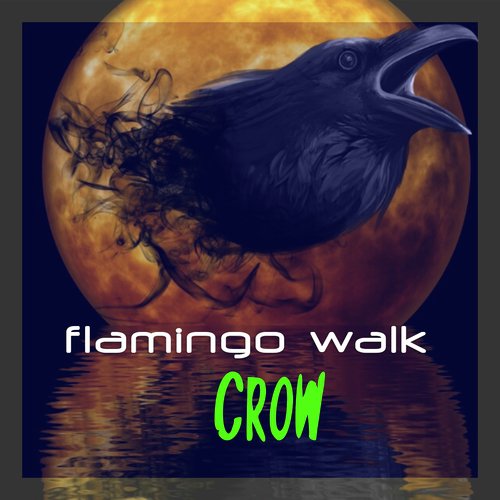 Flamingo Walk