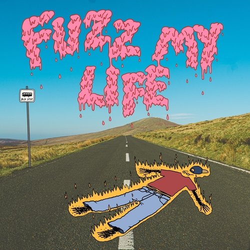Fuzz My Life cover art