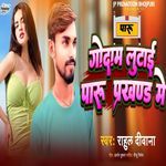 Godam Lutai Paru  Prakhand Me