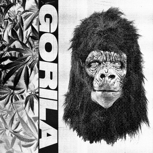 Gorila
