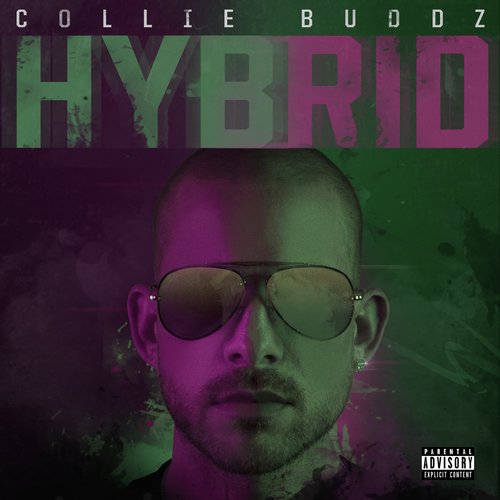 Hybrid