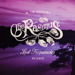 In the Shadows (Lost Frequencies Remake)