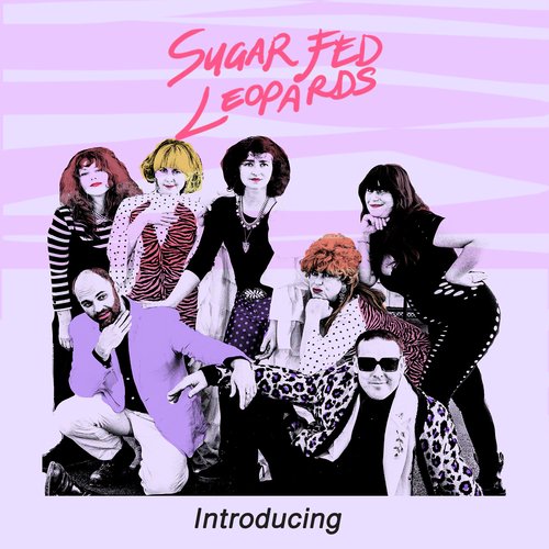 Introducing.. cover art