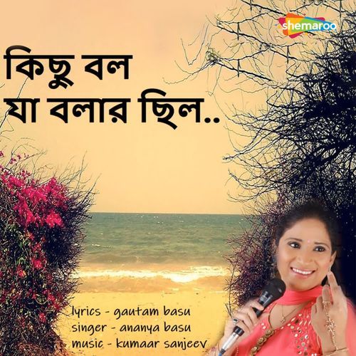 Kichu Bolo Ja Bolaar Chilo