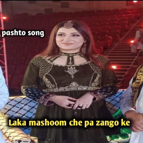 Laka Mashoom Che Pa Zango Ke