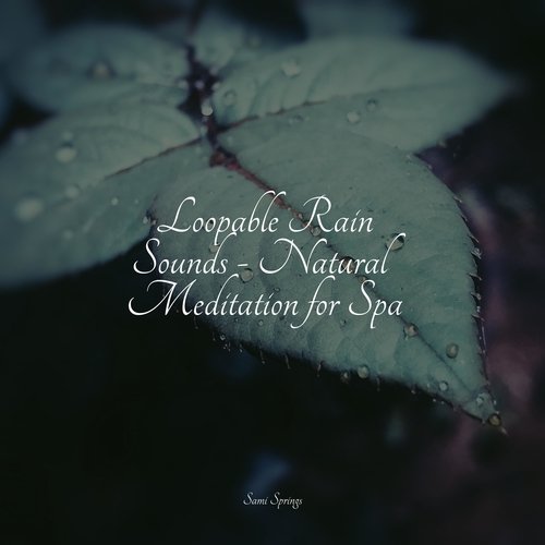 Loopable Rain Sounds - Natural Meditation for Spa_poster_image