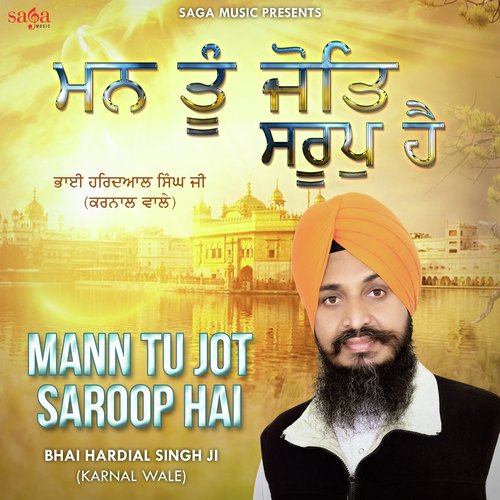 Mann Tu Jot Saroop Hai_poster_image