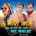 Mara Janu UK Yo DJ Ki Gaadi Mat Chalao