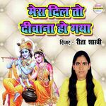 Mera Dil To Deewana Ho Gya