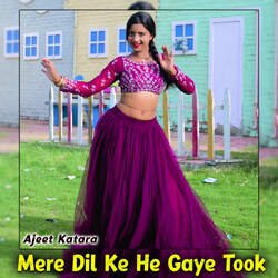 Mere Dil Ke He Gaye Took-AlEOdi0CYVQ