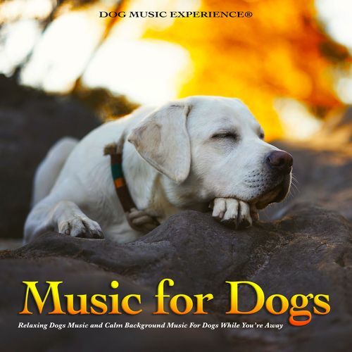 Dog Music - Pugs