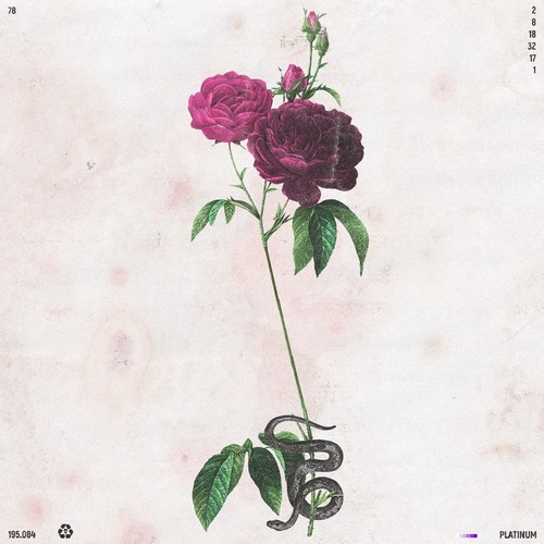 Love's Grave cover art