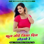 Phool Tode Jiya Dil Todgo Re