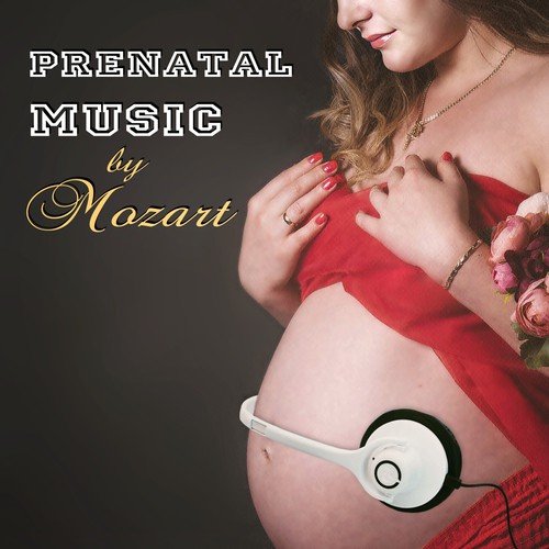 Pregnancy Music Academy