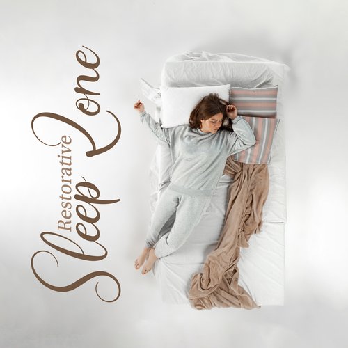 Restorative Sleep Zone: Soothing Music for Calm Dreams_poster_image