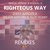 Righteous Way (Djeff Afrozila Main Reprise)