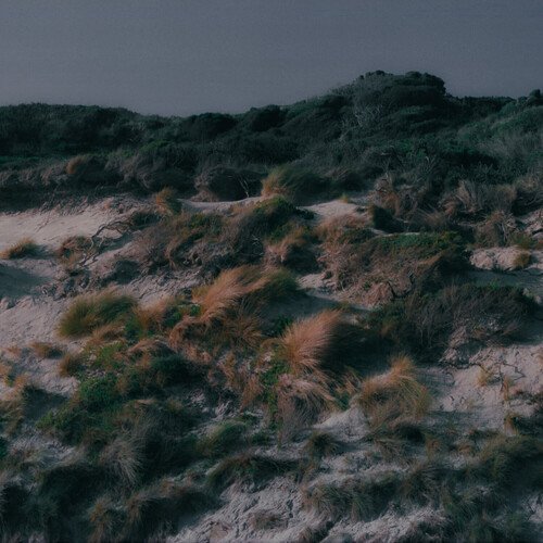 Riptide cover art
