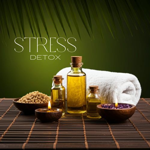 Stress Detox: Purify Your Mind and Body_poster_image