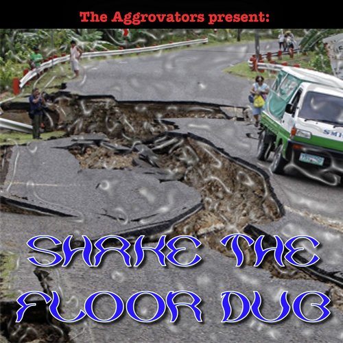 The Aggrovators Present: Shake the Floor Dub