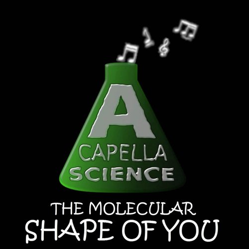 The Molecular Shape of You