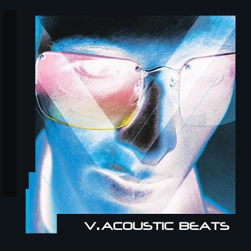 V.Acoustic Beats, Vol. 1