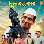 Dev Vithuraya