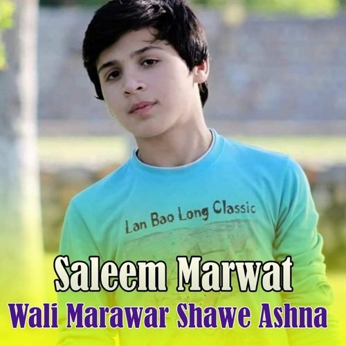 Wali Marawar Shawe Ashna
