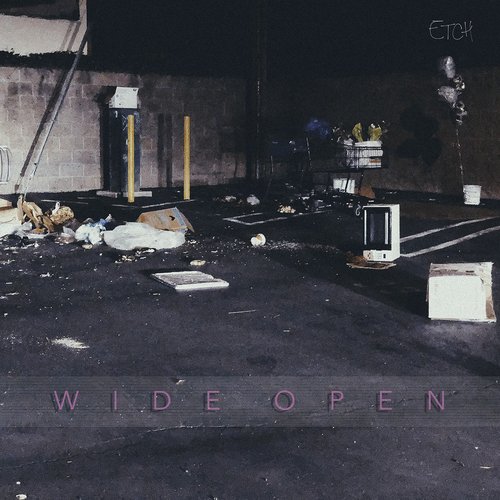 Wide Open_poster_image