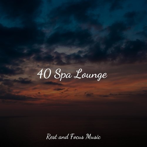 40 Spa Lounge_poster_image