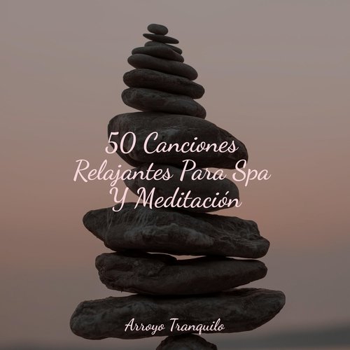 50 Canciones Relajantes Para Spa Y Meditación_poster_image