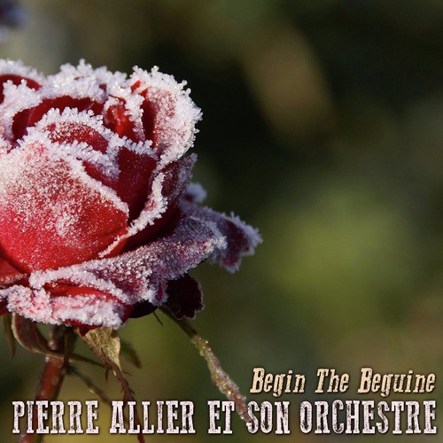 Pierre Allier Et Son Orchestre