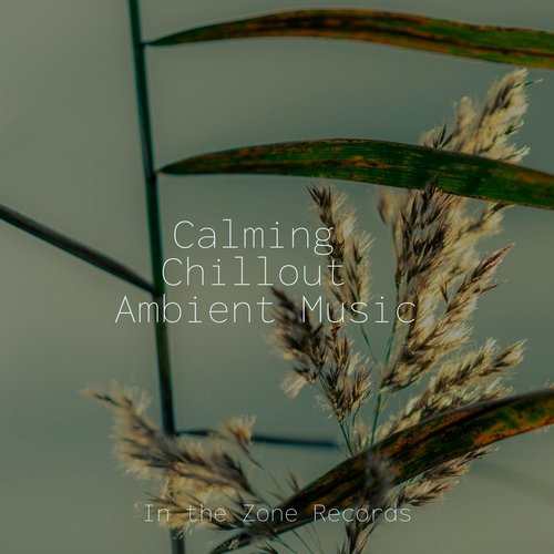 Calming Chillout Ambient Music