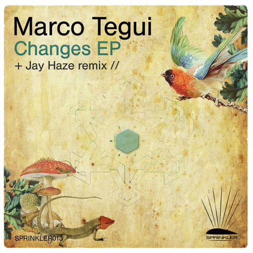 Changes (Jay Haze Remix) cover art