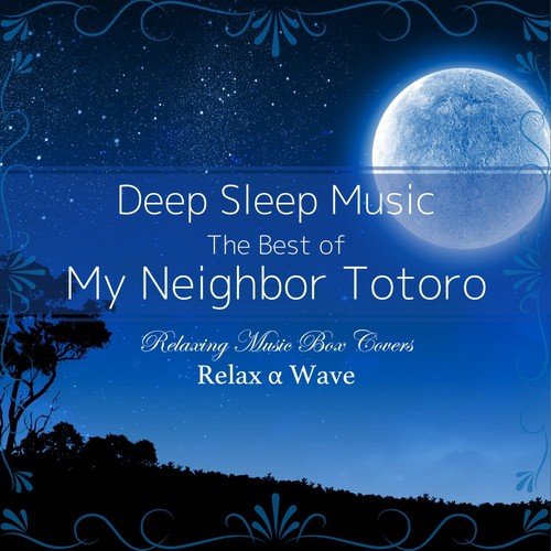 Hey Let S Go Song Download From Deep Sleep Music The Best Of My Neighbor Totoro Relaxing Music Box Covers Jiosaavn