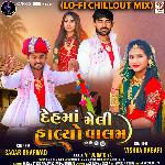 Deh Ma Meli Halyo Valam (Lo-Fi ChillOut Mix)