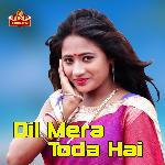 Dil Mera Toda Hai