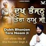 Dukh Bhanjan Tera Naam Ji