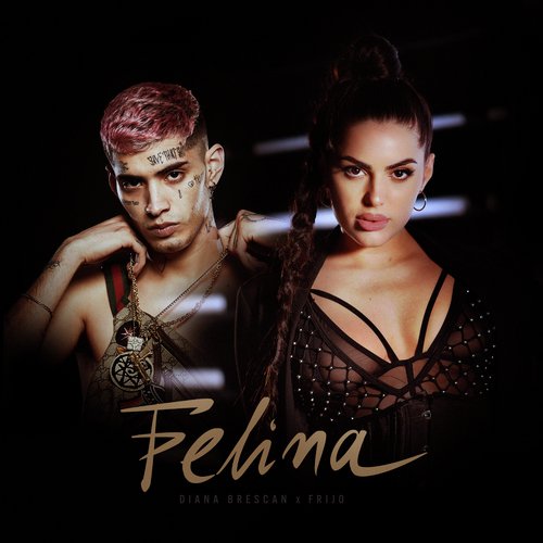 Felina_poster_image