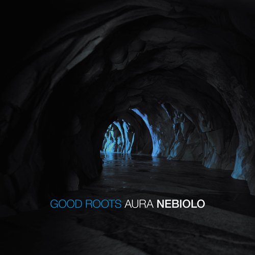 Good Roots_poster_image