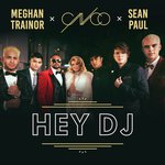 Hey DJ (Remix)