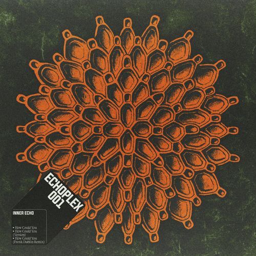 How Could You (Frenk Dublin Remix) cover art
