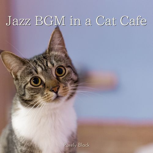 Coffee with the Boss (Key E Ver.) cover art